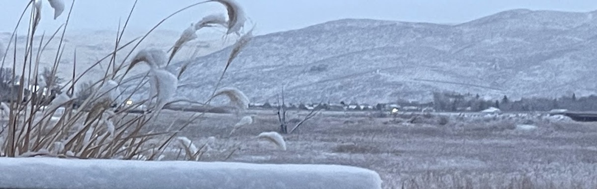 Snow covered grasses with mountains.